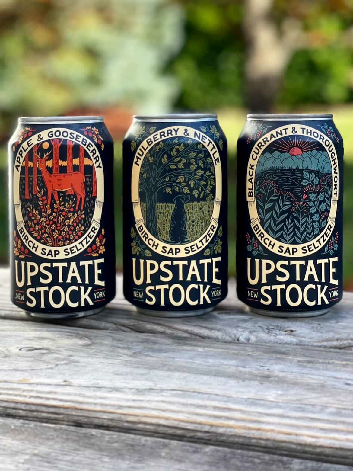 Variety Pack! Birch Sap Seltzer