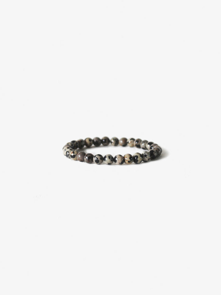 Earth Dalmatian Stone